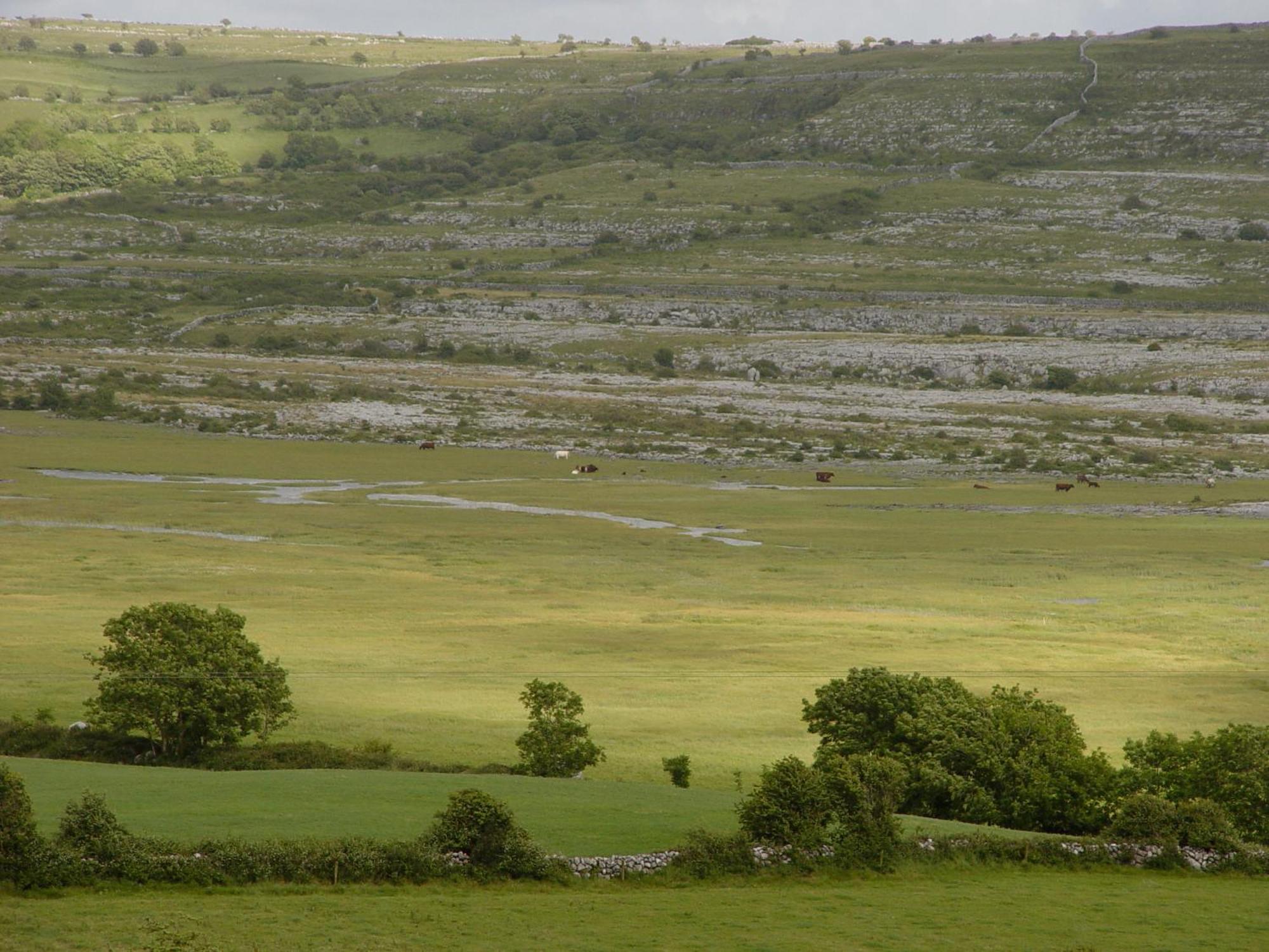 Clare'S Rock Self-Catering Accommodation Carron Esterno foto