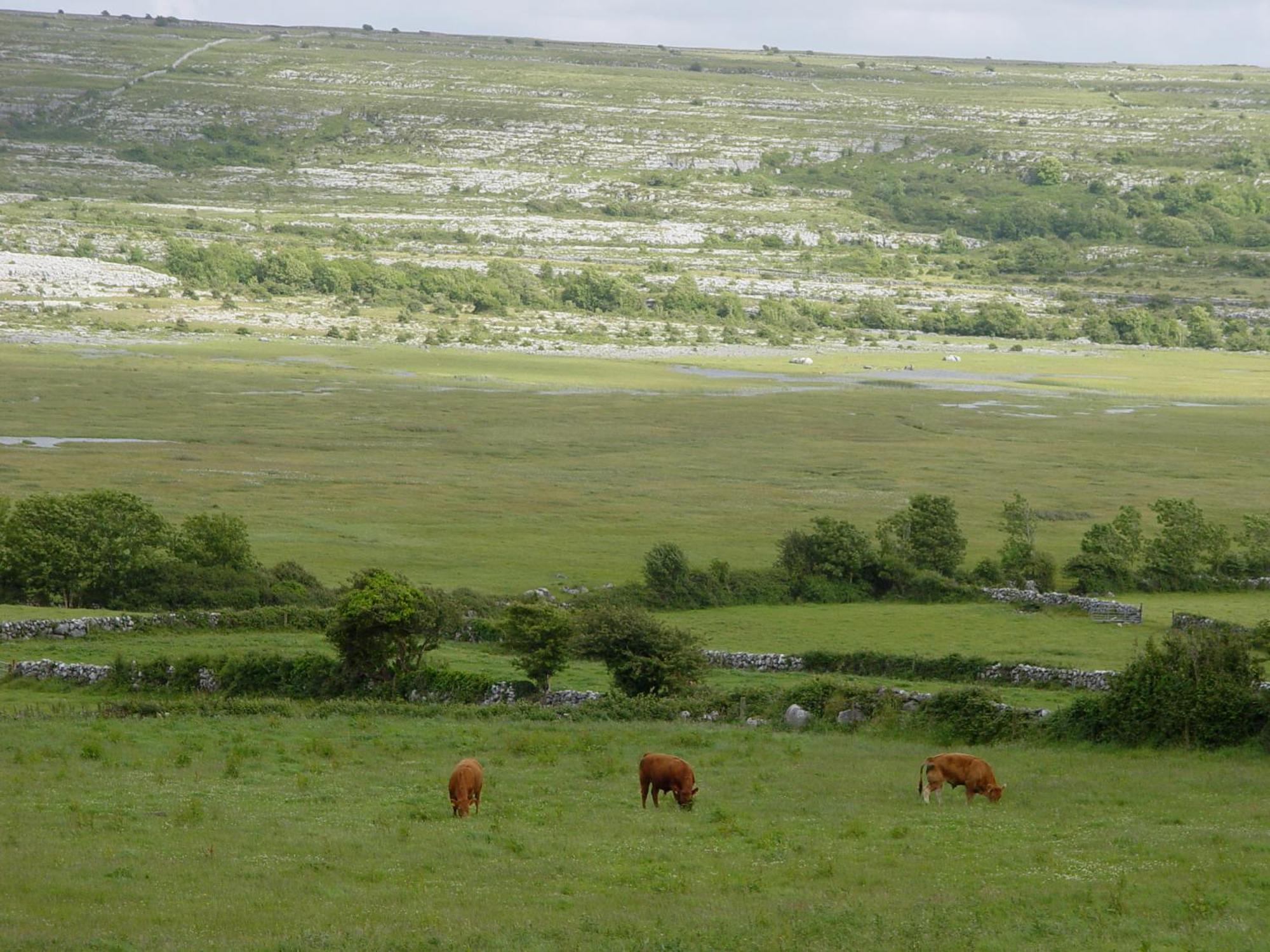 Clare'S Rock Self-Catering Accommodation Carron Esterno foto
